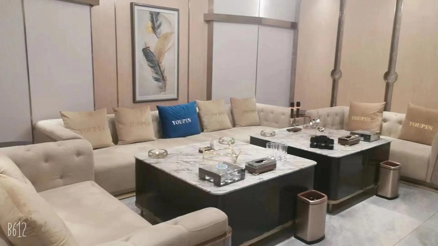 鹤岗商务ktv模式独特-东山区ktv预定